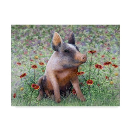 Marcia Matcham 'Flower Girl Piggy' Canvas Art,18x24